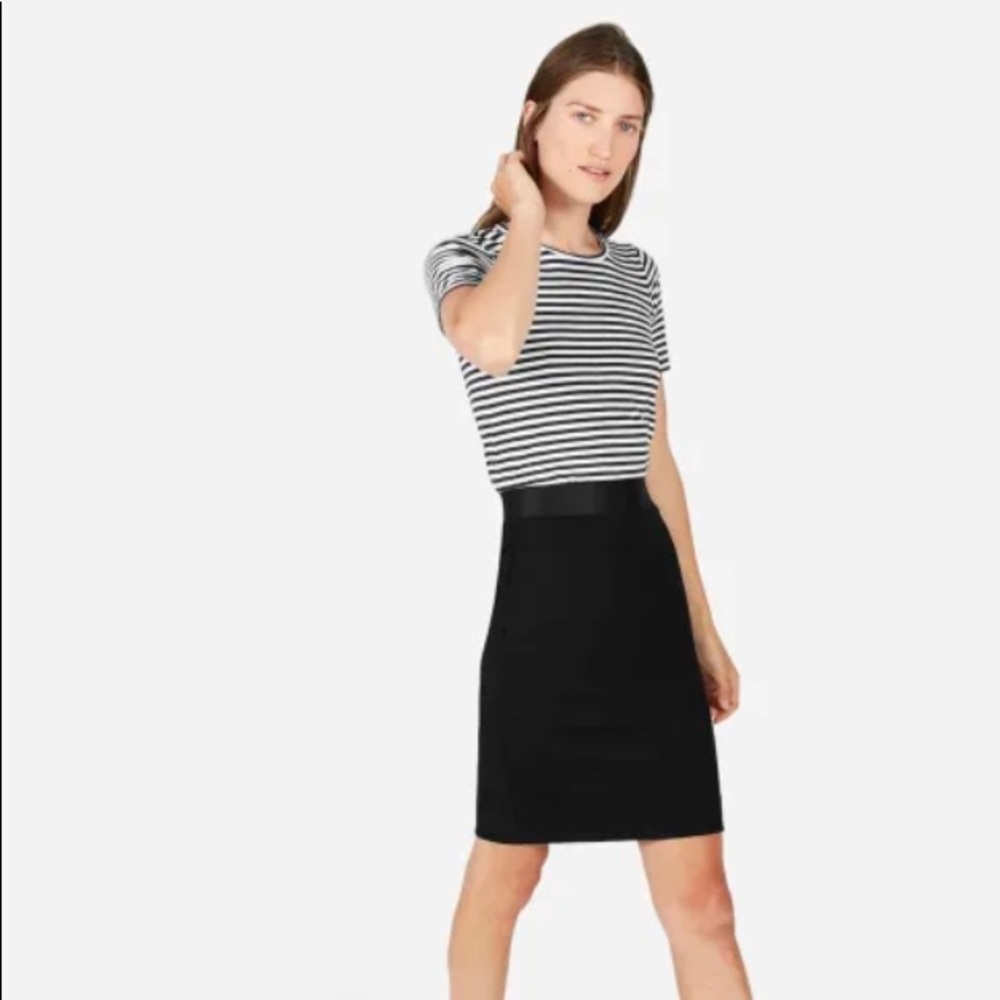 Everlane pointe pencil skirt
